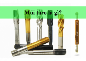 Các thông tin về mũi taro