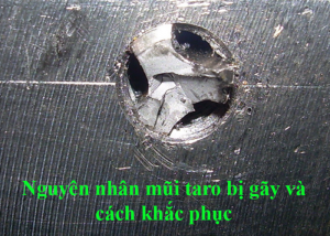 Mũi taro bị gãy và cách khắc phục